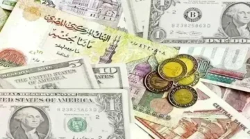 مستجدات أسعار العملات الأجنبية في البنوك المصرية خلال تعاملات يوم الجمعة 6-3-2026